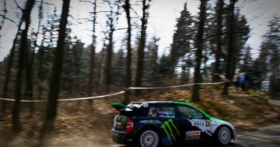 Testy Fiesta Trophy i Fabii WRC